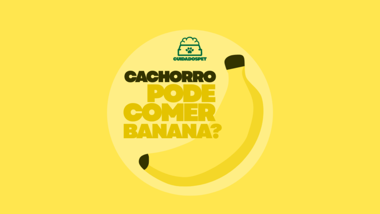 Cachorro pode comer Banana? 03 Cuidados que você Precisa Saber!
