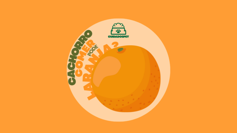 Cachorro pode Comer Laranja? 4 Cuidados + Acidez