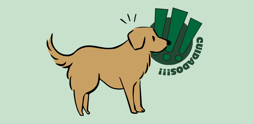 Cachorro pode comer manga? - Cuidados