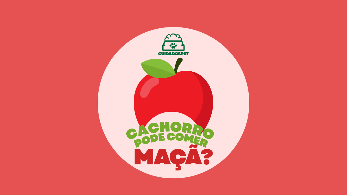 Cachorro pode Comer Maçã? É um "Fruto Proibido"?