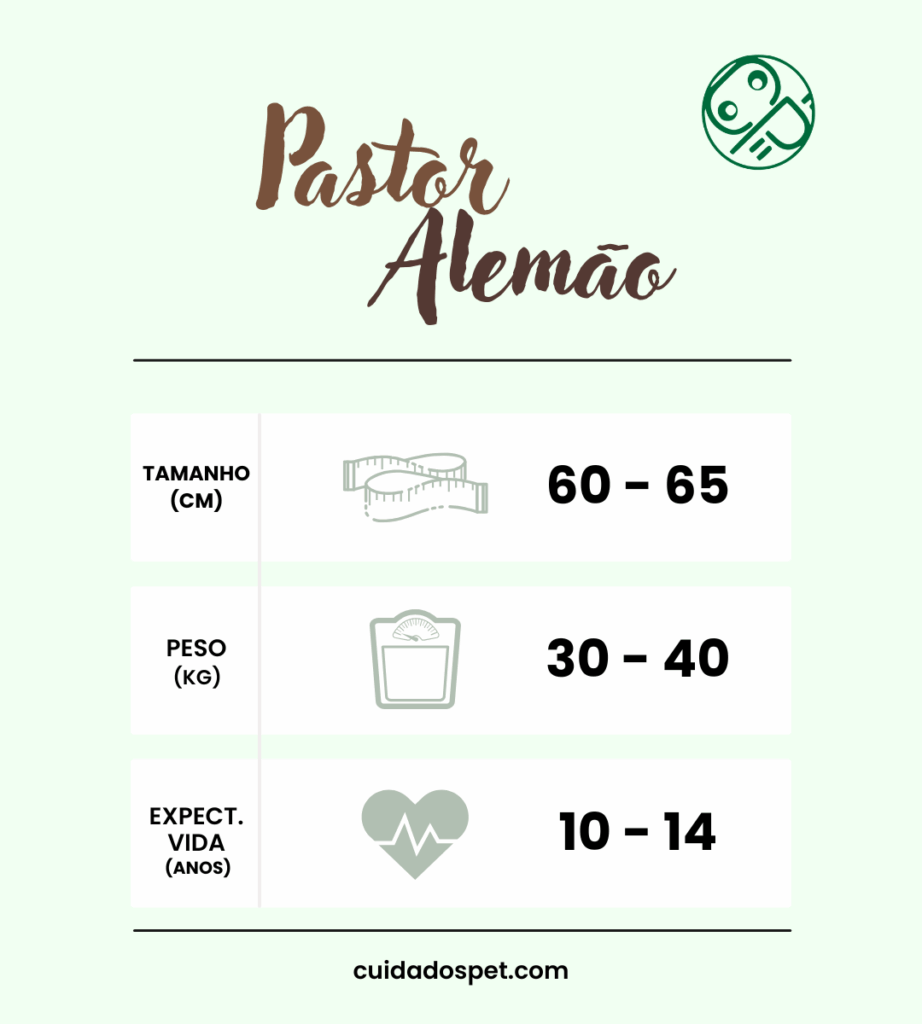 Características do Pastor Alemão