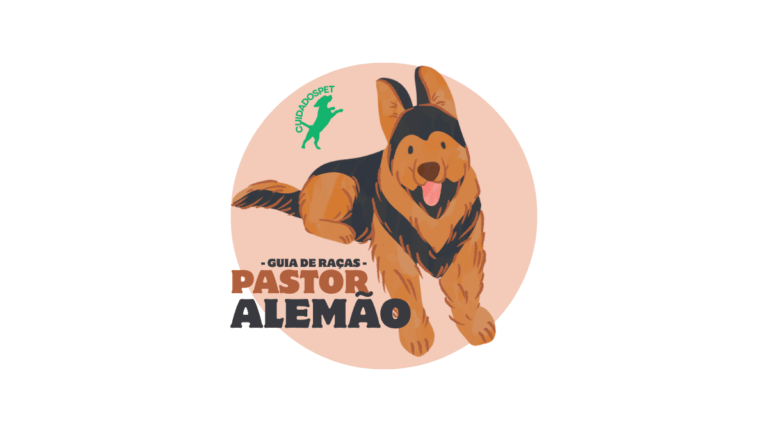 Pastor Alemão: Tudo sobre a Magnífica raça Pastoreira