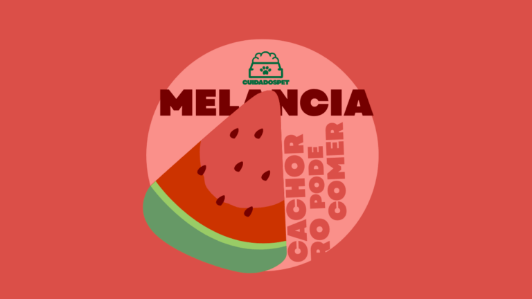 Cachorro pode comer Melancia? 03 Dicas Importantes!