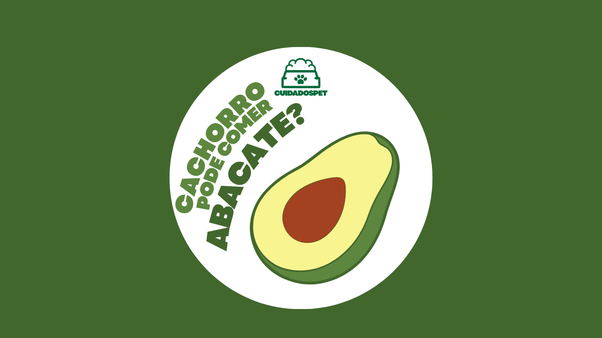 Cachorro pode comer Abacate? Ela é Segura para os Cães?