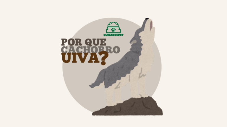 Por que o cachorro Uiva? 08 Principais Motivos