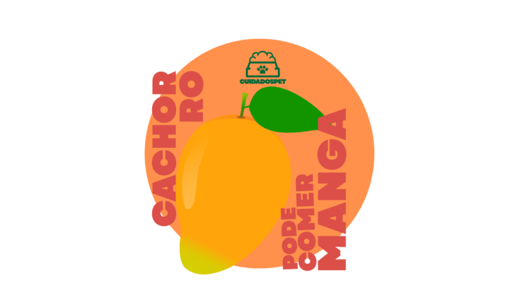 Cachorro pode comer Manga? Cuidados Primordiais…