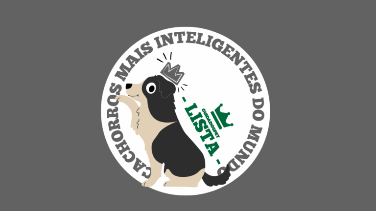 [Lista]  133 Cachorros Mais Inteligentes do Mundo