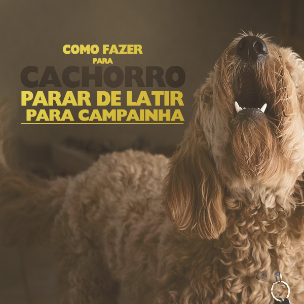 Como fazer para cachorro parar de latir para campainha?