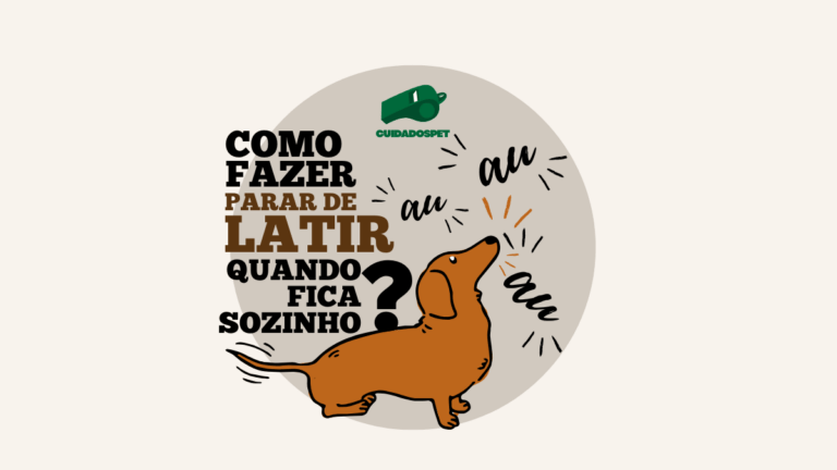 Cachorro late quando fica sozinho: O que fazer para acalmar?