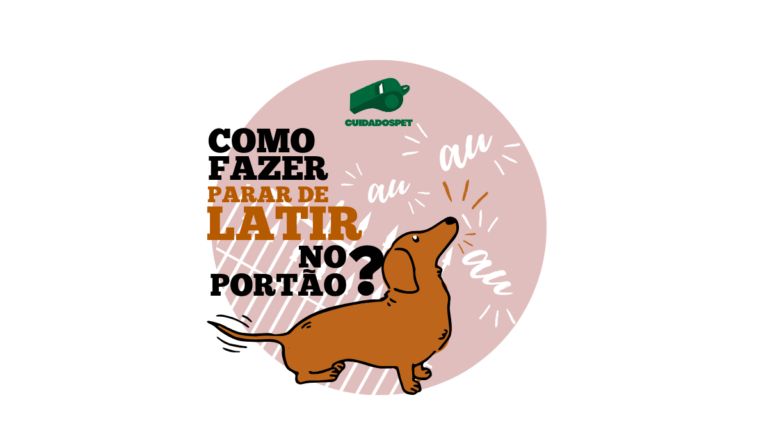 Como fazer cachorro parar de latir no portão