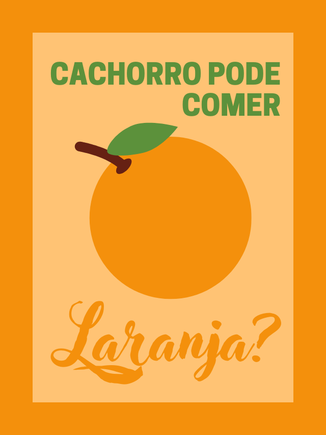 Cachorro Pode Comer Laranja?