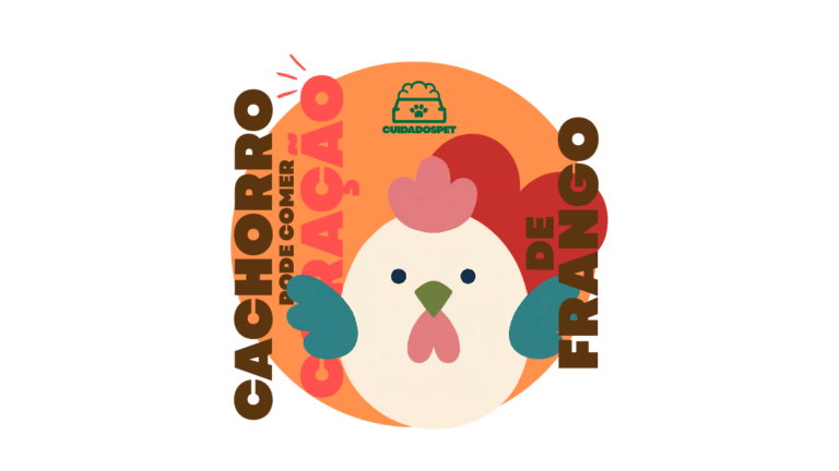 Cachorro pode comer coração de galinha? Veja como oferecer com segurança