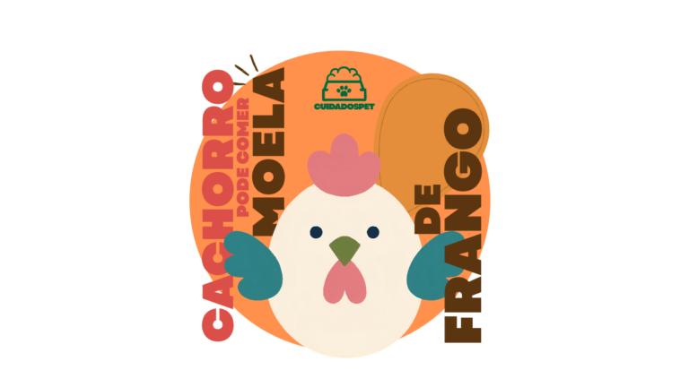 Cachorro pode comer moela de frango? Veja como oferecer com segurança