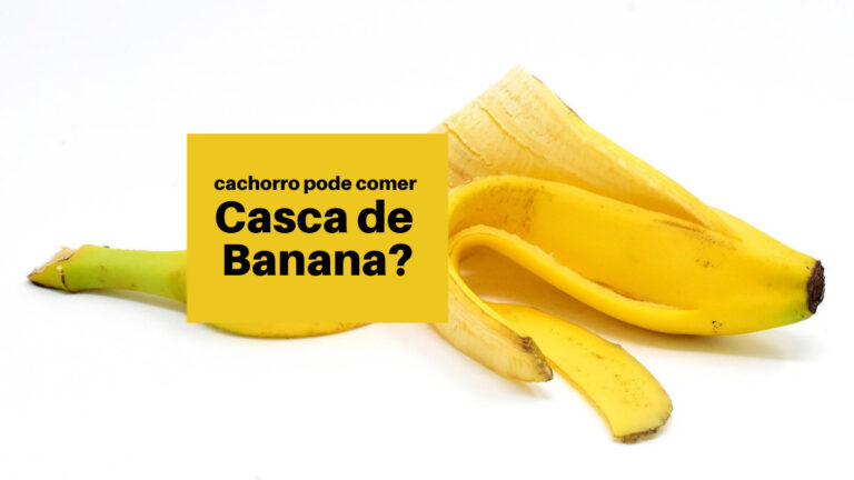 Cachorro pode comer casca de Banana?