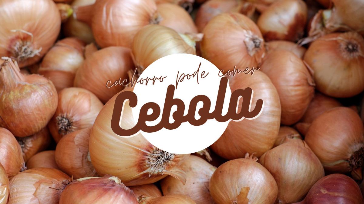 Cebola para cachorro