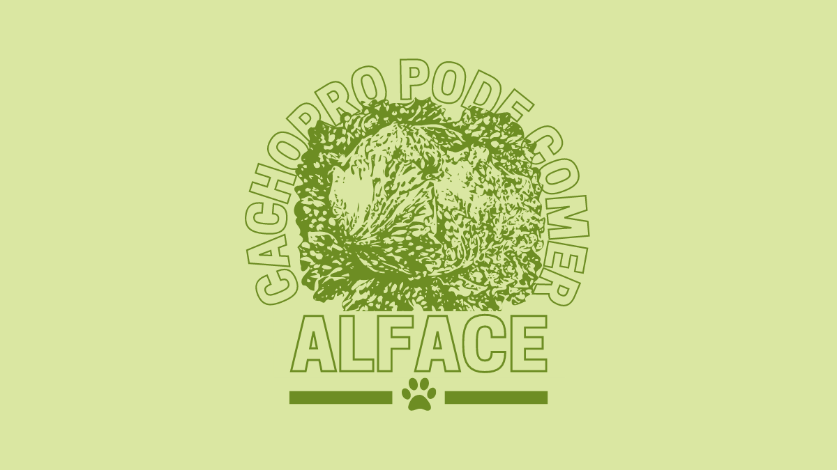 Cachorro pode comer alface
