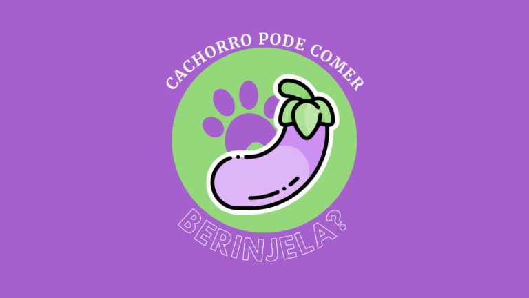 Cachorro pode comer Berinjela? Os principais cuidados!