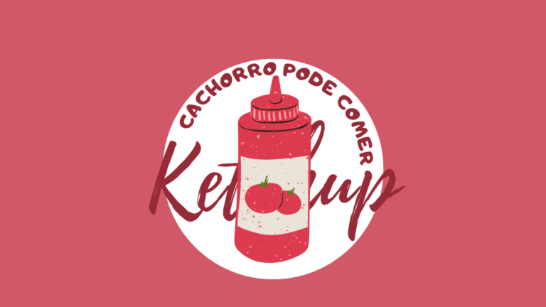 Cachorro pode comer Ketchup? Não! Entenda: