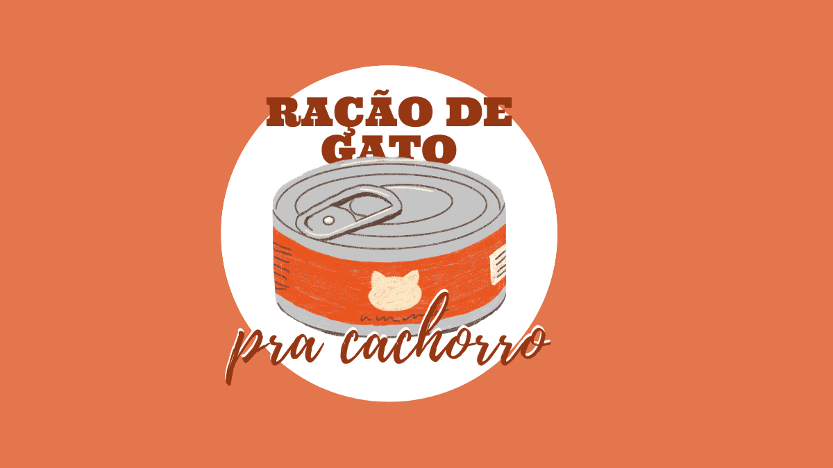 Cachorro pode comer ração de gato