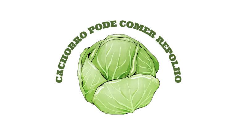 Cachorro pode comer Repolho? É um vegetal bom para os cães?