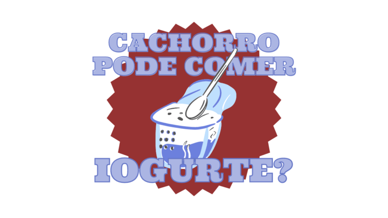 Cachorro pode comer iogurte? A resposta pode te surpreender!