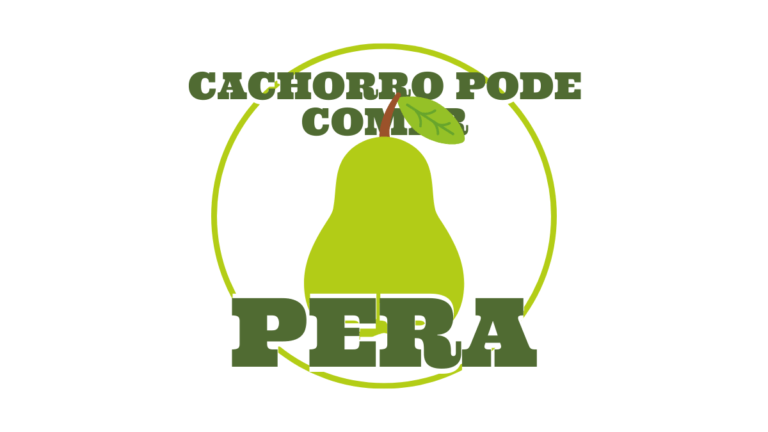 Cachorro pode comer Pera? Principais cuidados que você precisa saber!