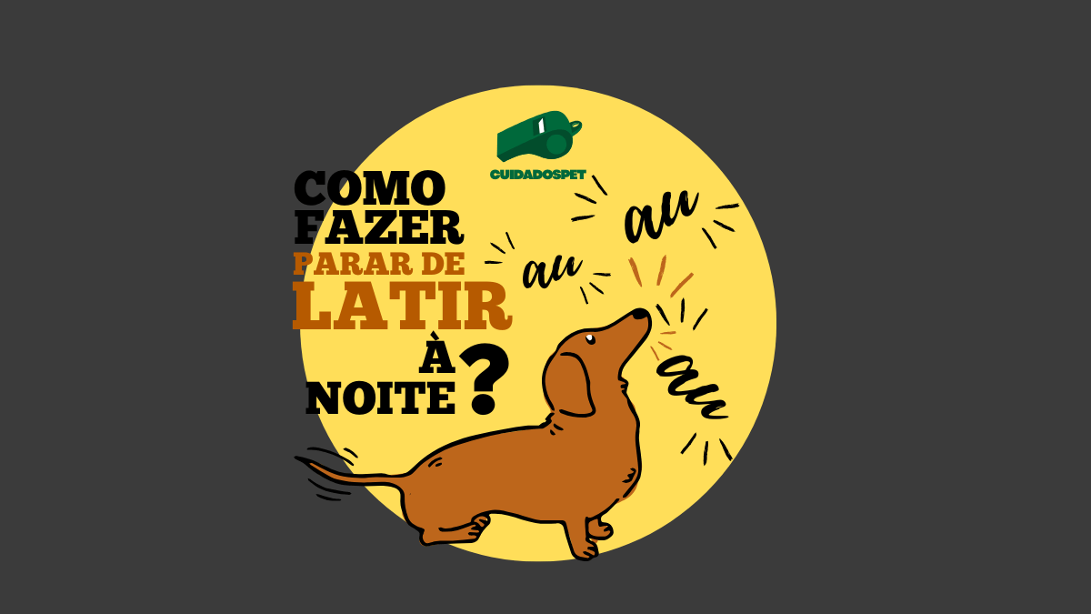 Aprenda: Como fazer seu cachorro parar de Latir à Noite?