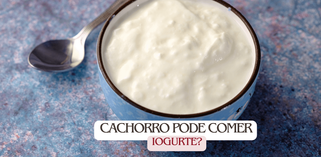 Cachorro pode comer iogurte?