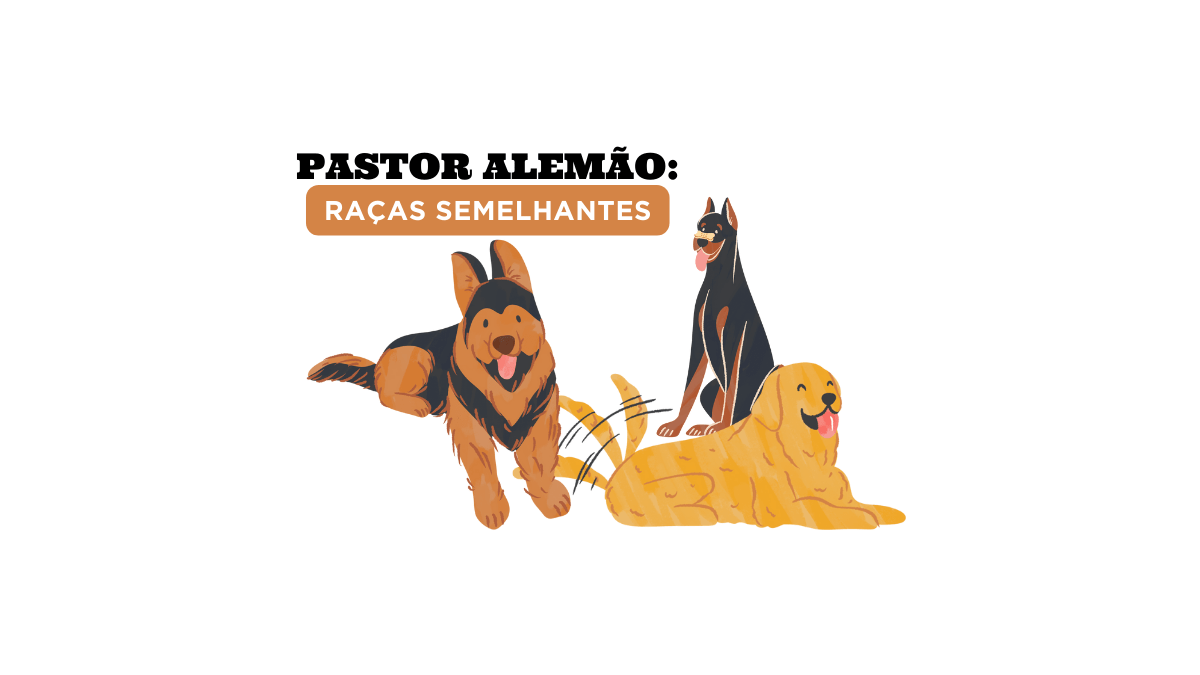 Pastor Alemão Raças semelhantes