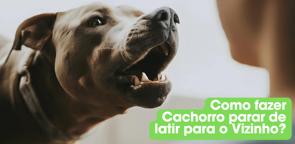 Como fazer cachorro parar de latir para o vizinho?