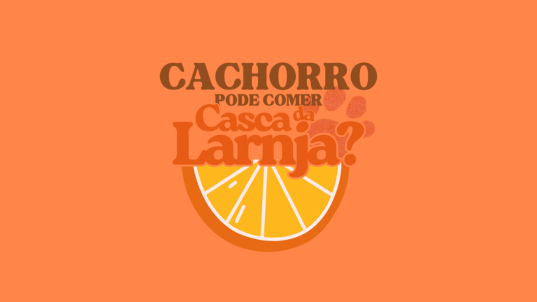 Cachorro pode comer casca de laranja? Veja por que evitar