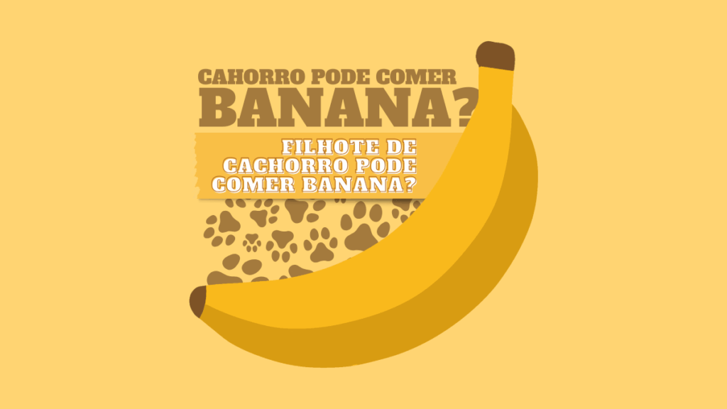 [+100 Alimentos] O que Cachorro pode comer? Permitidos e Proibidos