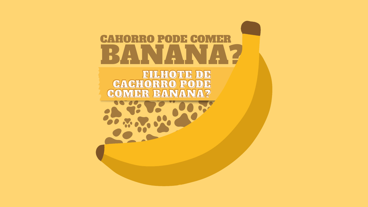 Filhote de cachorro pode comer banana? Veja quando evitar