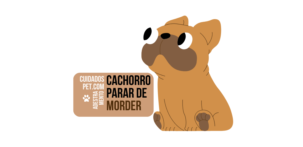 Cachorro parar de morder: Guia completo para Ensinar do Jeito Certo