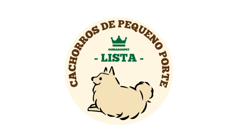 Cachorros de Pequeno Porte: Guia Completo Para Escolher o Ideal