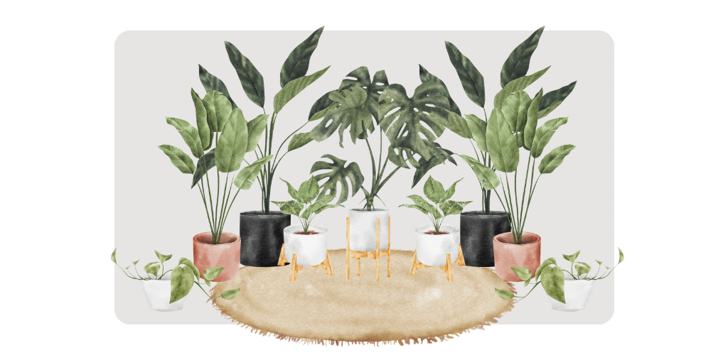 Plantas Tóxicas para Cães: Plantas Ornamentais de Interior