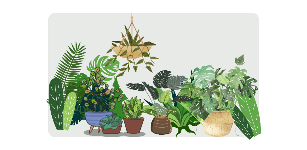 Plantas Tóxicas para Cães: Plantas Silvestres