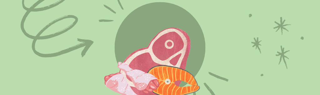 O que cachorro pode comer? Categoria - Proteínas