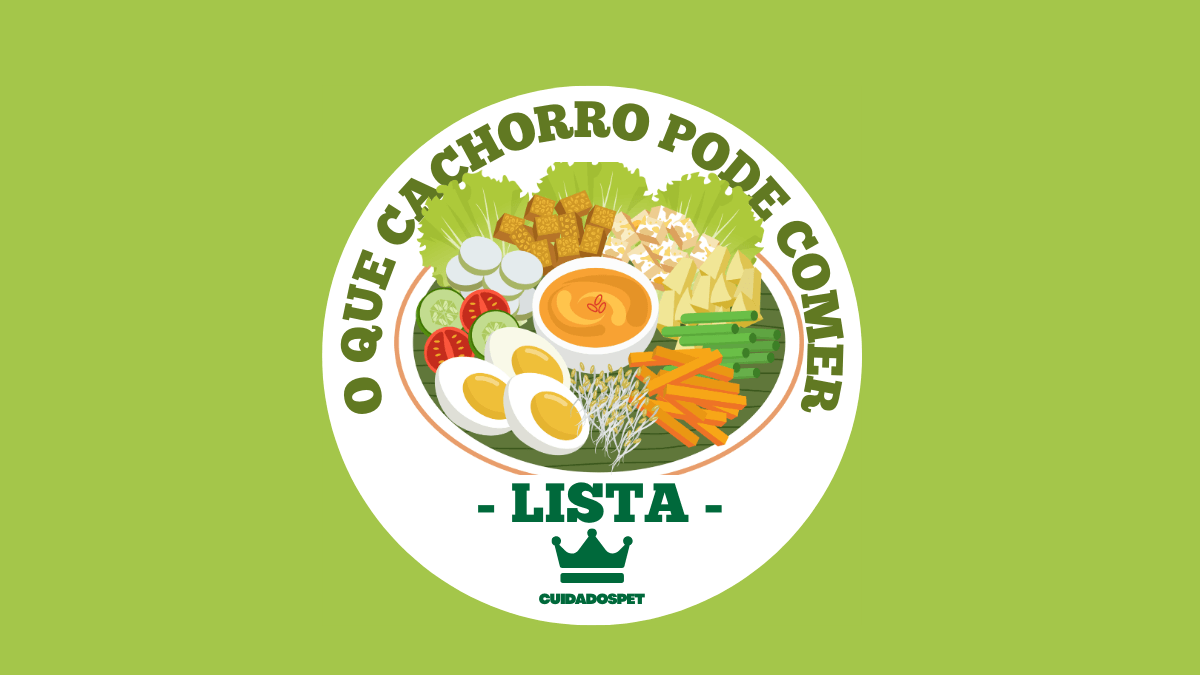 [Lista] Alimentos que Cachorro pode comer - Lista completa de alimentos Permitidos e Proibidos