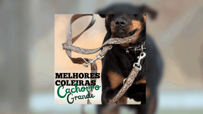 As 10 melhores Coleiras para Cachorro Grande: Marcas e Modelos