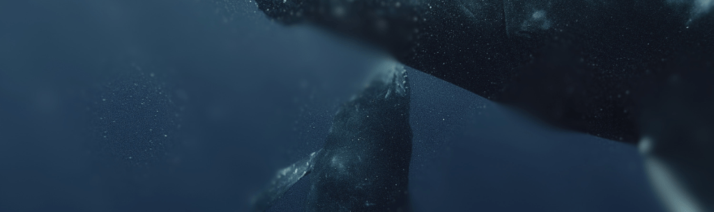 Baleia Azul: características, tamanho, habitat e curiosidades