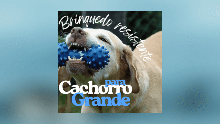 Brinquedo resistente para cachorro grande: 5 Melhores opções