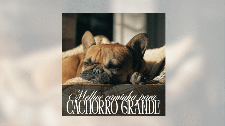 Melhor caminha para Cachorro Grande: 8 opções