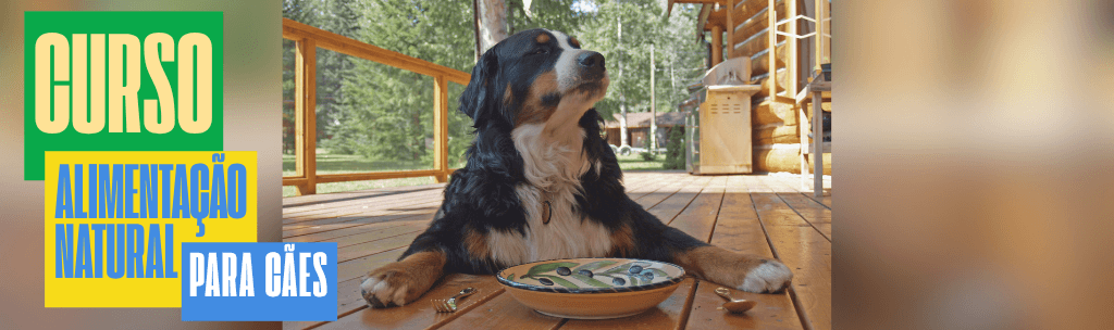 Curso de Alimentação Natural para Cães