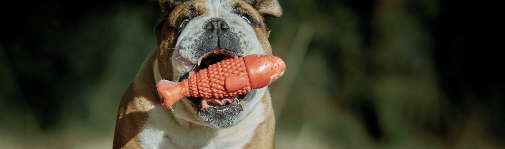 Brinquedo resistente para cachorro grande