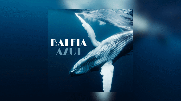 Baleia Azul: características, tamanho, habitat e curiosidades