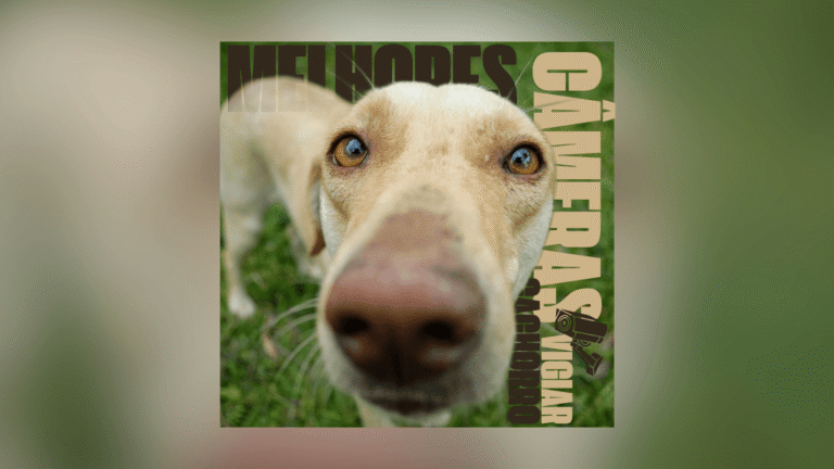 Melhores Câmeras para Vigiar Cachorro: 7 Opções
